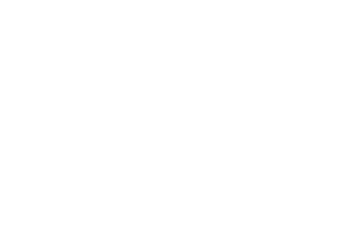 Phantoms NIHL2